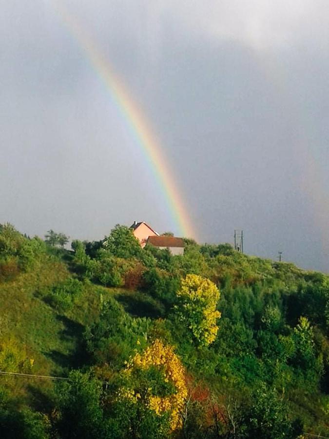 Dom Pod Jabloniami Villa Lukowica Екстериор снимка