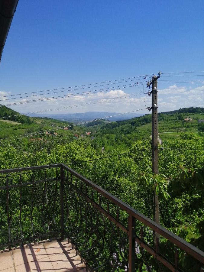 Dom Pod Jabloniami Villa Lukowica Екстериор снимка