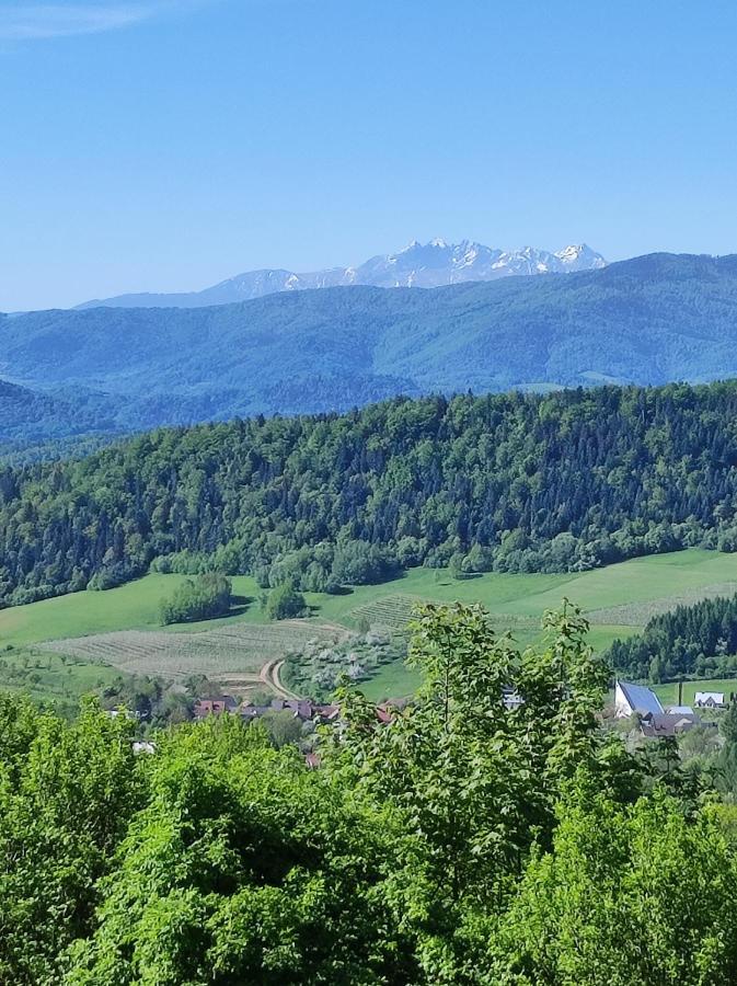 Dom Pod Jabloniami Villa Lukowica Екстериор снимка
