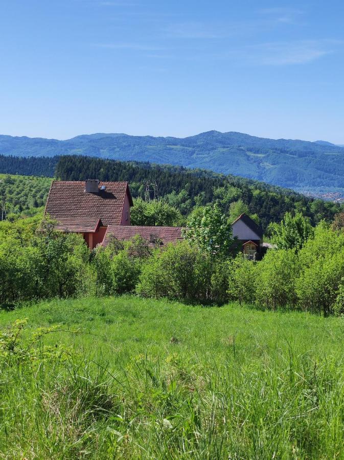 Dom Pod Jabloniami Villa Lukowica Екстериор снимка