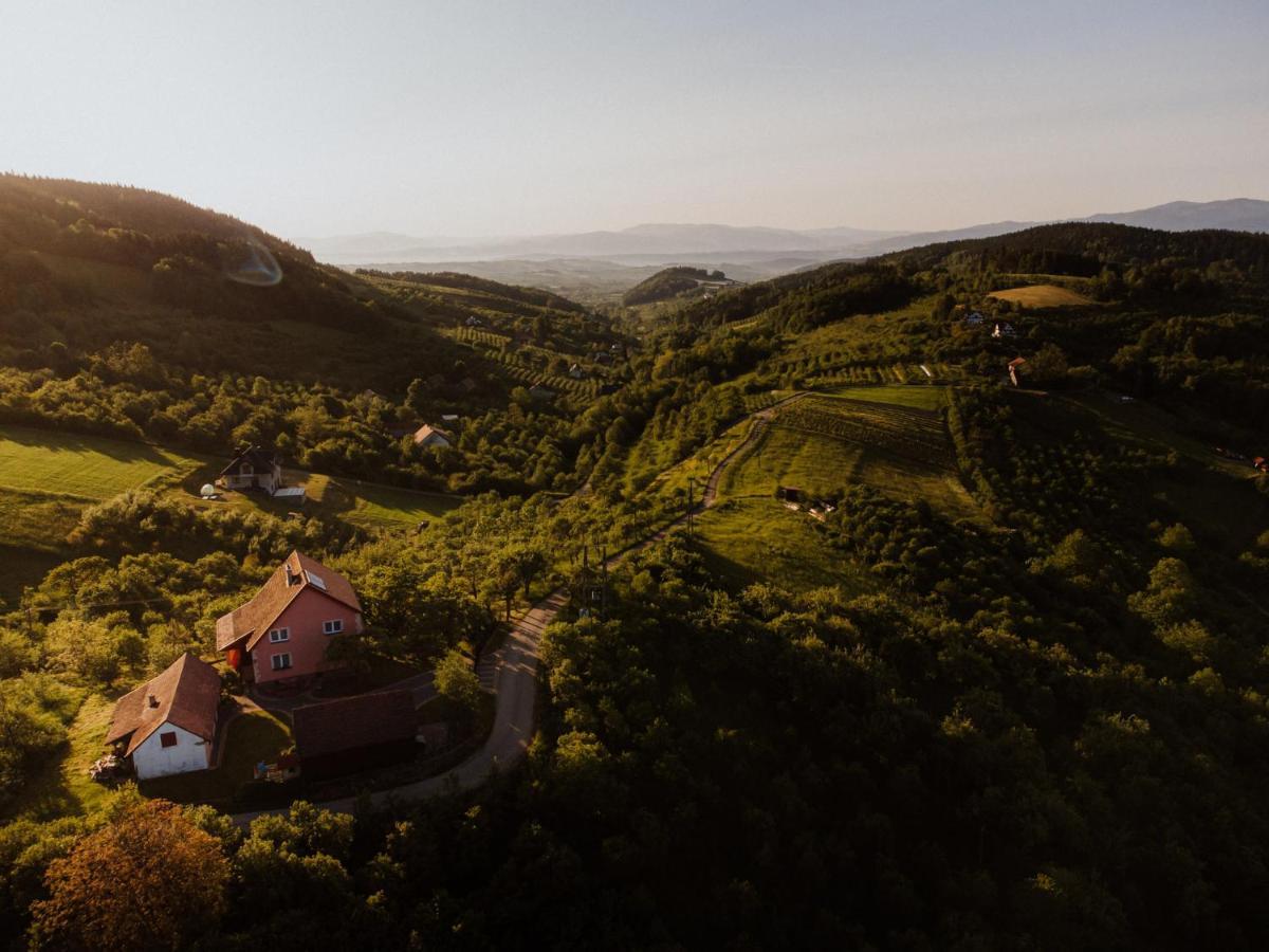 Dom Pod Jabloniami Villa Lukowica Екстериор снимка